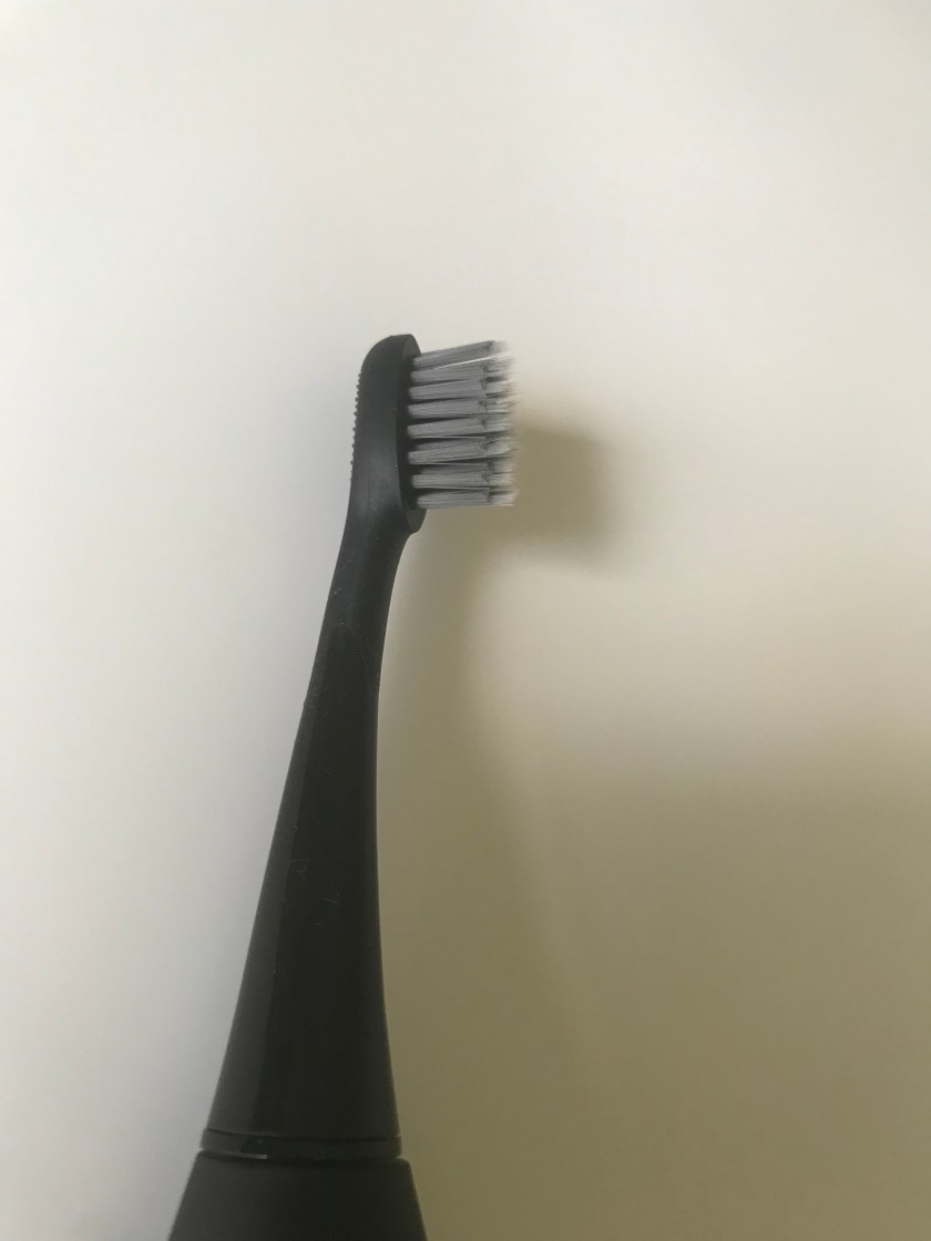 Burst Bristles