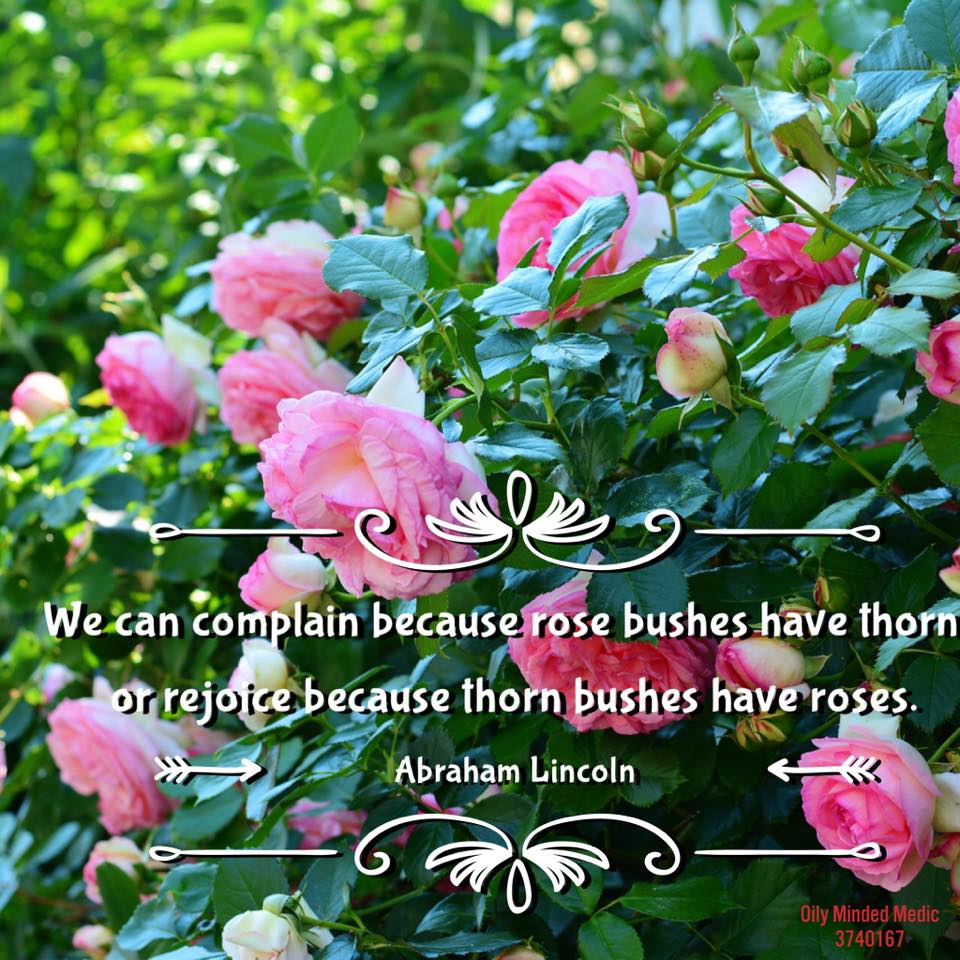 The Power of&nbsp;Perspective